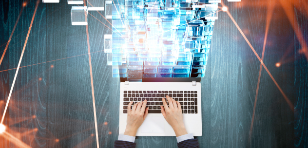 Enterprise software solutions development