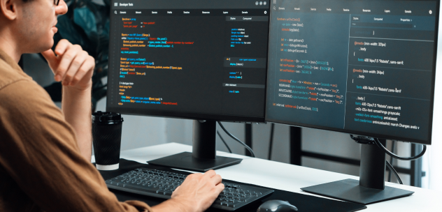 DigitalMara offers Software development service