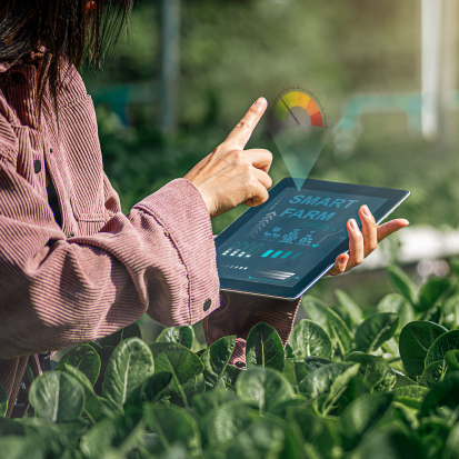 DigitalMara develops agriculture data analytics 